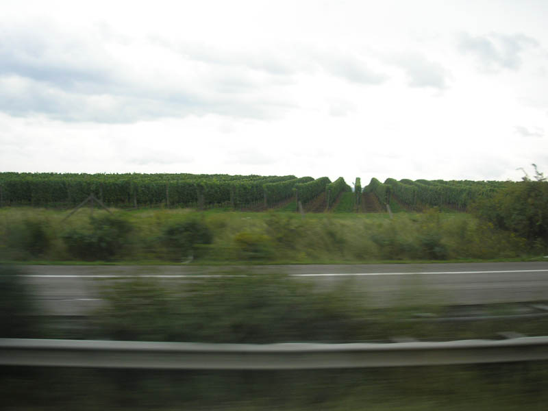 P9046892