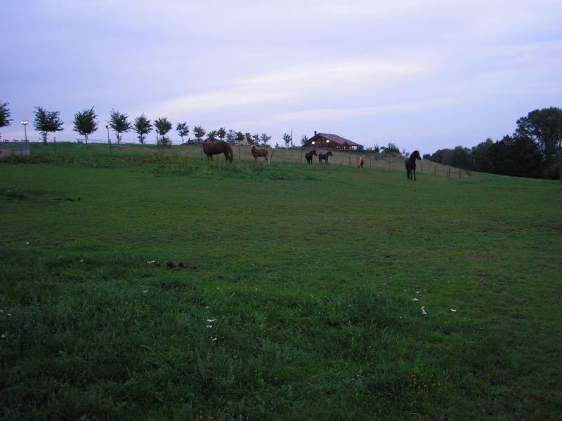 P9057005
