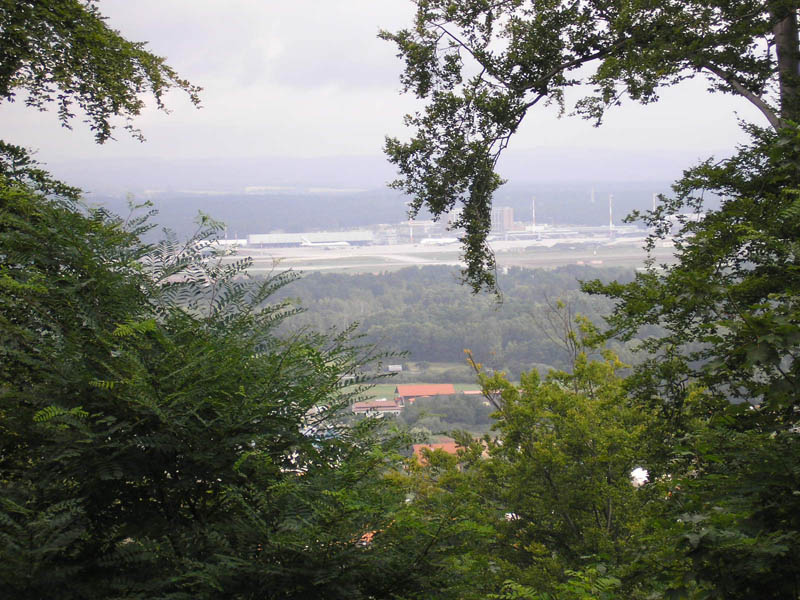P9087139
