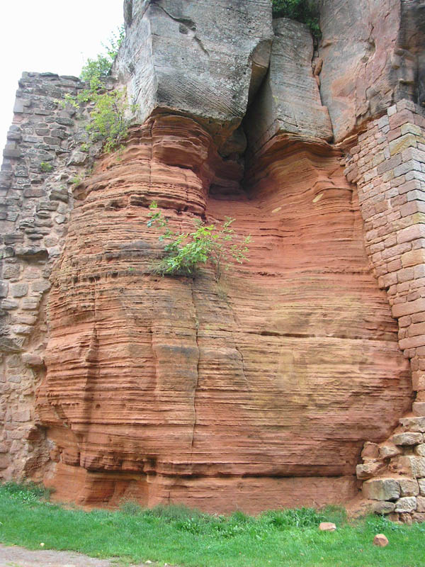 P9087140